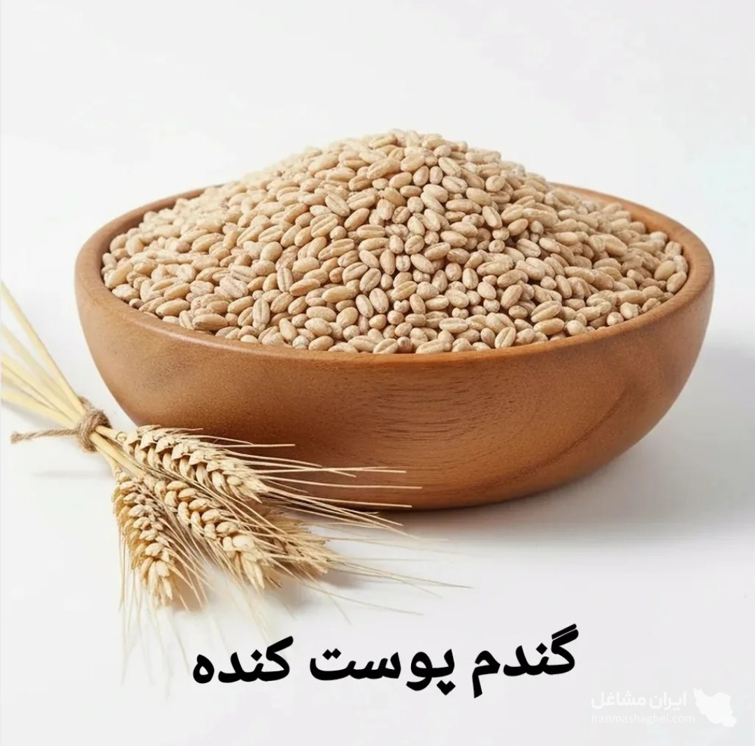 تولید و فرآوری آرد جو بدون سبوس دشت آسمان در تهران